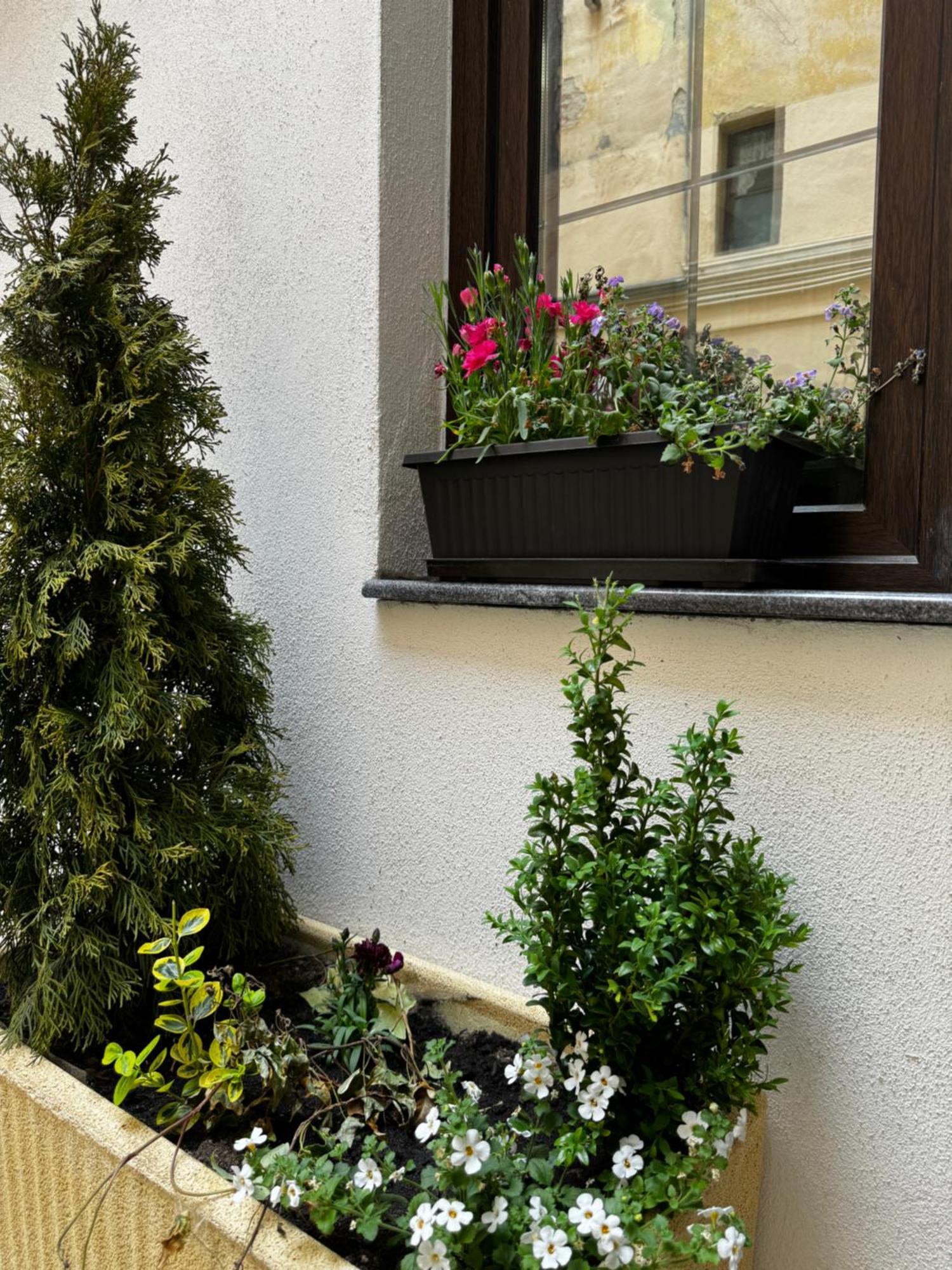 Balcescu Central Residence Sibiu Bilik gambar